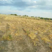 زمین-برای-باغ-یا-سرمایه-گذاری