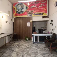 کلیه خدمات دامپزشکی