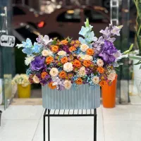 انواع باکس گل و دسته گل ژورنالی