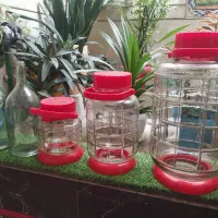 بانکه ترشی وشیشه آبغوره