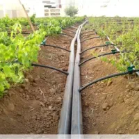 لوله کشی قطره ای باغ و باغچه نوشین شهر