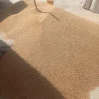 فروش گندم