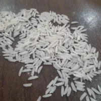 برنج مختار هاشمی درجه یک