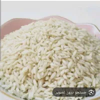 برنج محلی چمپا