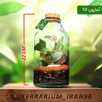 تراریوم