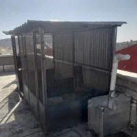 گنجه کبوتر|لوازم جانبی حیوانات|دماوند, گیلاوند|دیوار