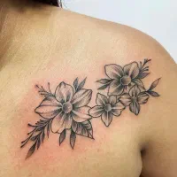 تتوی صورت و بدن|خدمات آرایشگری و زیبایی|رشت, معلم|دیوار