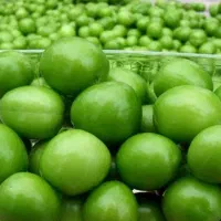 گورجه سبز
