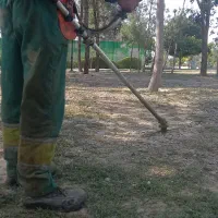 علف زنی وتیلر زنی باغ وزمین کشاورزی