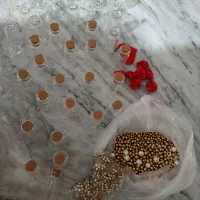 ظرف میوه و تنقلات یکبار مصرف  توافقی