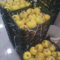 فروش به