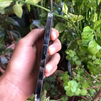 آیفون ۱۳ پرو|موبایل|اصفهان, شفق|دیوار