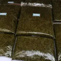 سبزی خاش