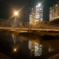 هم خانه خانوم