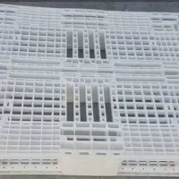 پالت پلاستیکی|ابزارآلات|اصفهان, قهجاورستان|دیوار