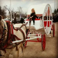 اساس کالسکه درشکه|اسب و تجهیزات اسب‌سواری|ری, بازار آهن|دیوار