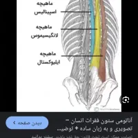 درمان افرادسکته ای .سیاتیک بیحسی دست|خدمات آرایشگری و زیبایی|نیشابور, کوی یغما|دیوار