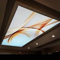 شاگرد یا نیروی کار