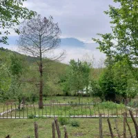 300متر زمین جنگلی روبروی دریاچه