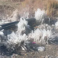 کمک عقب پژو