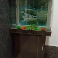 آکواریوم شیشه ای کرو پایه دار MDF بسیار تمیز