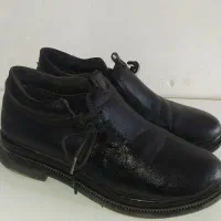 کفش زنانه|کیف، کفش، کمربند|کاشان, ملا حبیب‌الله شریف|دیوار