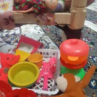 اسباب بازی وبیشکه|اسباب‌بازی بچه|مریوان, |دیوار