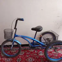 سه چرخه بزرگسال