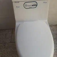فرنگی‌چینی‌کرد