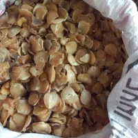 موسیر کوهی خوش عطر، تازه و تمیز