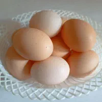 تخم مرغ محلی تازه