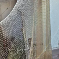 ماشک|ماهیگیری|بندر انزلی, متروپل|دیوار