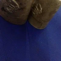 زنگوله قدیمی