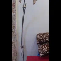 چرا غ خواب ایستاده سالم