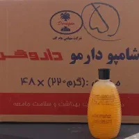 بهترین شامپو داروگر موجود در بازار تضمینی