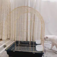 فروش قفس