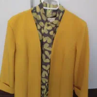 مانتومجلسی