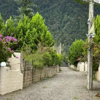 ۲۵۰مترزمین/بافت/پلاک یک جنگل/شهرکی/محدوده چلک