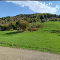 ملک زمین مسکونی بخش عمارلو|فروش زمین و ملک کلنگی|بره‌سر, |دیوار