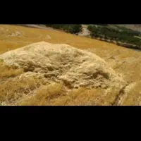 کاه دیم|لوازم جانبی حیوانات|سرپل ذهاب, |دیوار