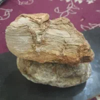 سنگ کلکسیونی وطبیعی