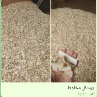 کارگاه چوببری و پالتسازی|خدمات پیشه و مهارت|قزوین, |دیوار