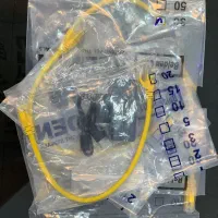 دانگل کپی خور