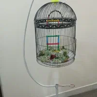 حراج
