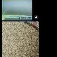 فروش همه نوع ماهی و وسایل