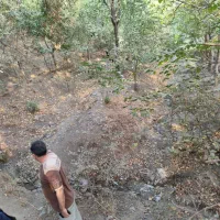 باغ ۲۳۰ متری زیر قیمت در باغات کرجین محمود آباد|فروش زمین و ملک کلنگی|کرج, محمود آباد|دیوار