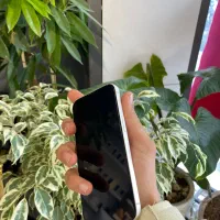 13 نرمال zaa 128|موبایل|تربت‌حیدریه, آغوی|دیوار