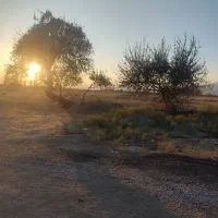 باغ ویلا|فروش خانه و ویلا|نوشین شهر, |دیوار