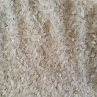 برنج|خوردنی و آشامیدنی|مشهد, فدک|دیوار