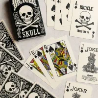 پاستور Bicycle Skull اصلی|اسباب‌‌بازی|تهران, لاله زار|دیوار